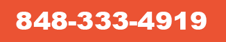 848-333-4919
